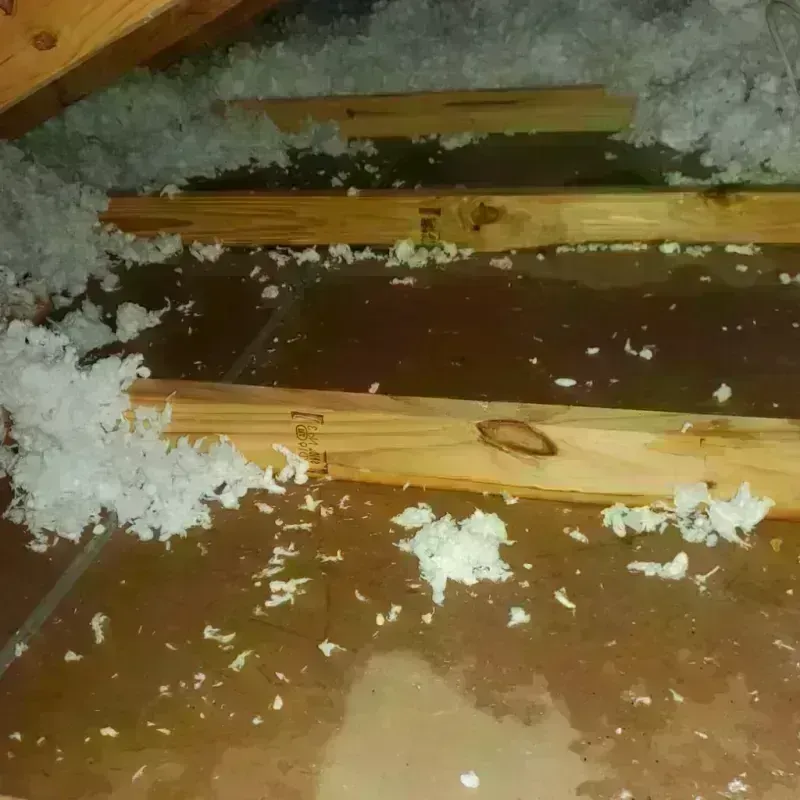 Attic Water Damage in Orange Cove, CA